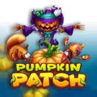 Pumpkin Patch
